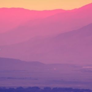 Meet your Posher, Patti